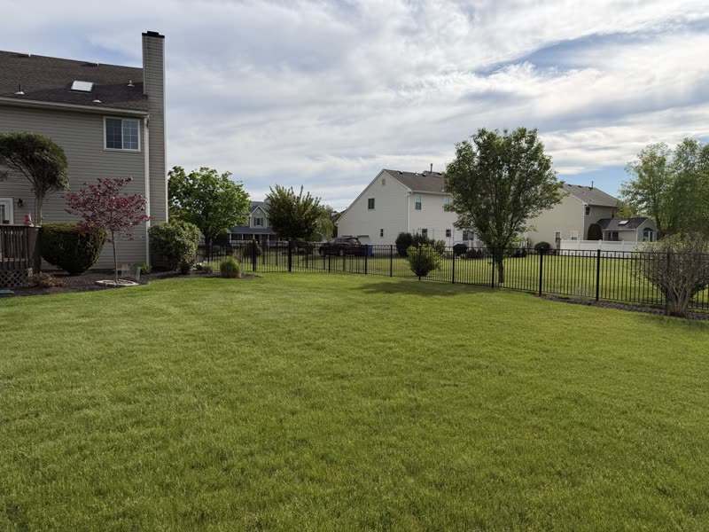 Black aluminum fence along a backyard lawn