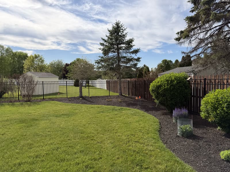 Black aluminum fence line with shrubs and mulch beds