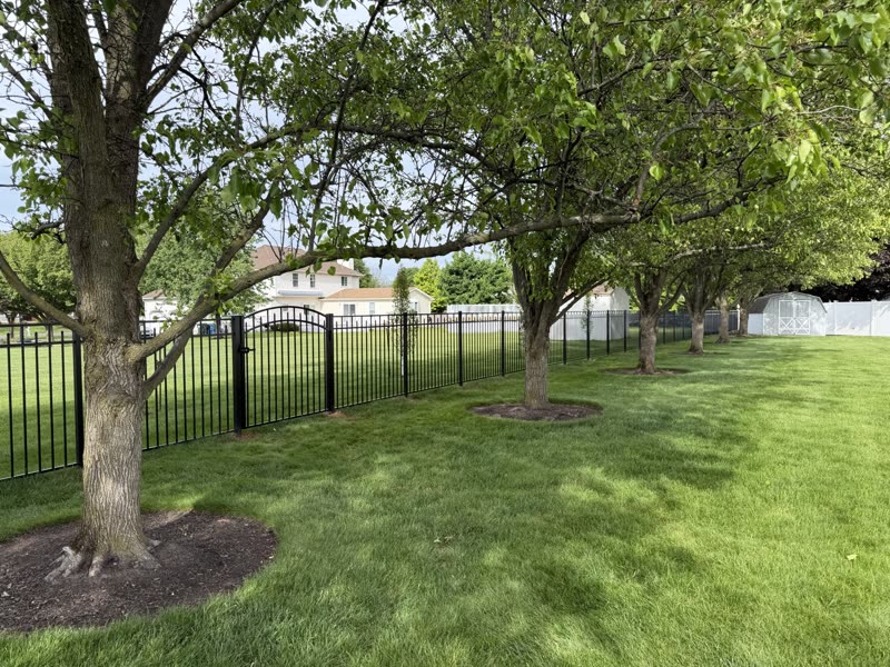 Black aluminum fence running under maple trees