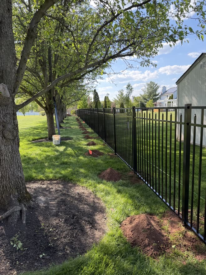 Black aluminum fence line under tall trees